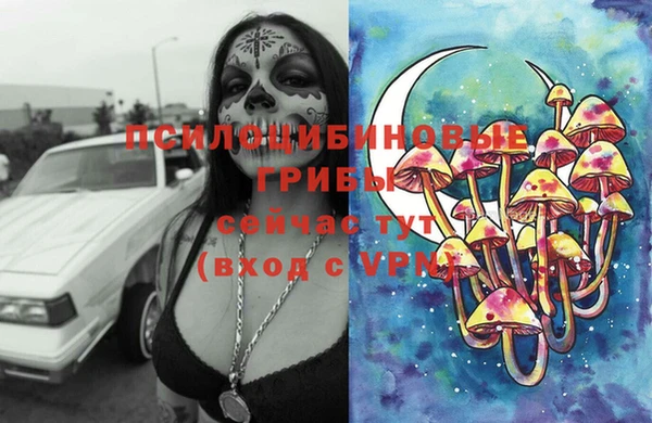 шишки Майский