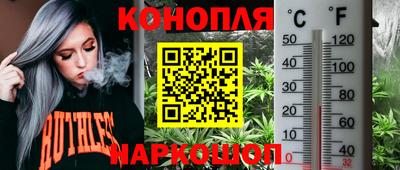 наркотики Бийск