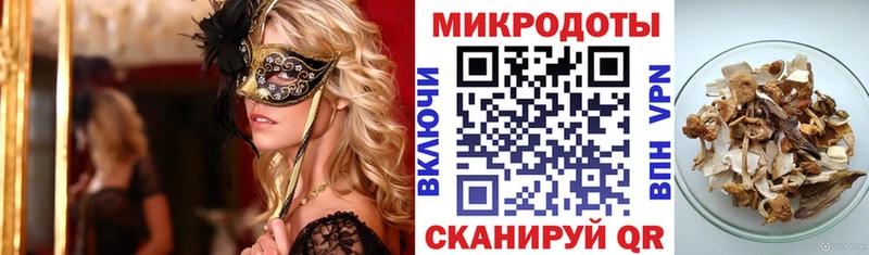 что такое   Елец  Псилоцибиновые грибы Cubensis 