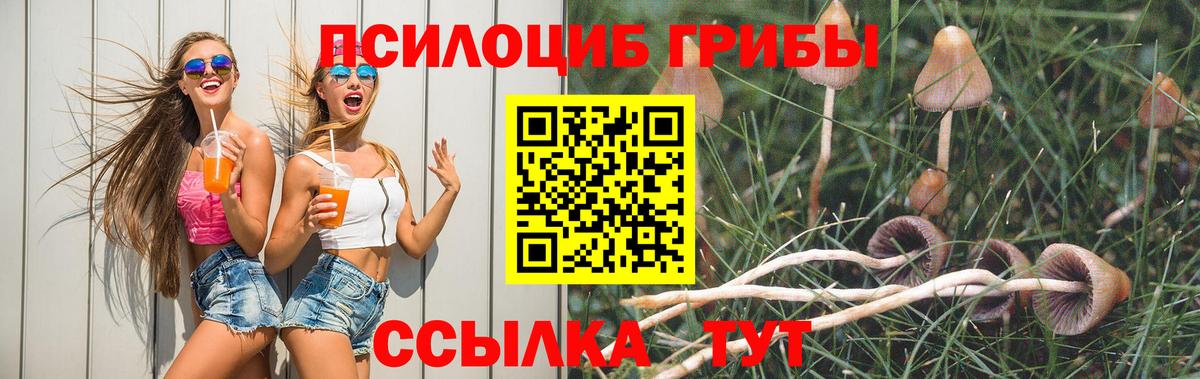 Псилоцибиновые грибы Psilocybine cubensis  Галлюциногенные грибы Cubensis  Елец 
