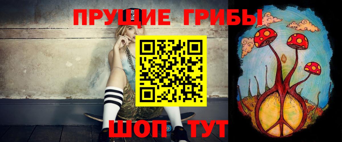 Елец  Псилоцибиновые грибы мицелий  где купить наркоту  Вход с VPN 